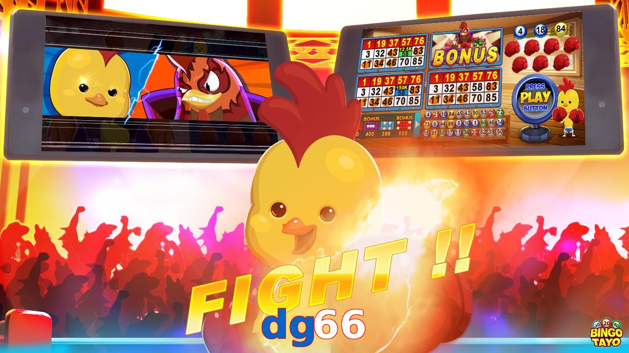 dg66